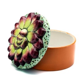 Succulent Box #1 - Case of 6