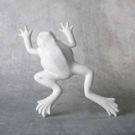 Wall Frog