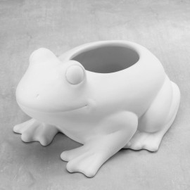 Frog Planter