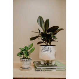 Footed Planter - Case of 4