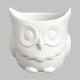 Ceramic Bisque Owl Planter - Case of 3