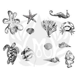 Sea Life - Designer Silk Screen