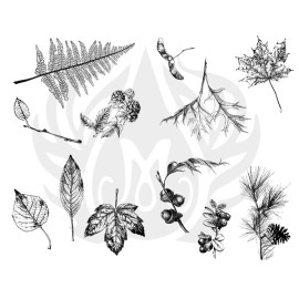 Botanical - Leaves Designer Silk Screen