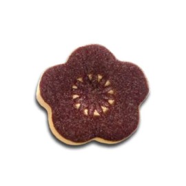 Aubergine Shino Glaze by Spectrum